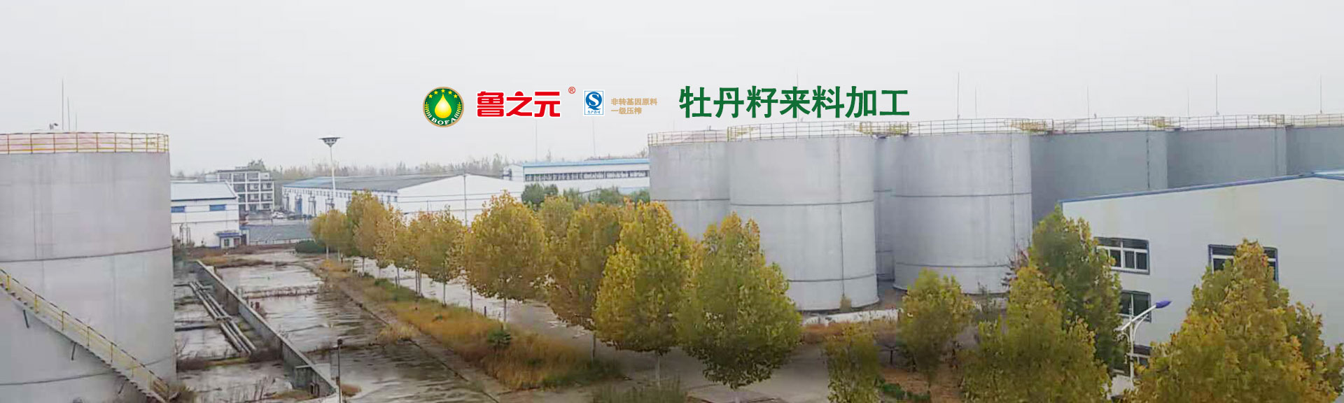 矯直切斷機(jī),數(shù)控鋼筋調(diào)直機(jī),鋼筋矯直機(jī)型號(hào),高速調(diào)直機(jī),矯直機(jī)配件,鋼筋調(diào)直機(jī)切斷機(jī),自動(dòng)調(diào)直機(jī),自動(dòng)鋼筋調(diào)直機(jī),鋼筋調(diào)直切斷機(jī),調(diào)直機(jī)規(guī)格,鋼筋調(diào)直機(jī)規(guī)格,調(diào)直切斷機(jī),螺紋鋼鋼筋矯直機(jī),數(shù)控調(diào)直機(jī),電桿鋼筋矯直機(jī)